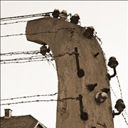 Picture Of Auschwitz