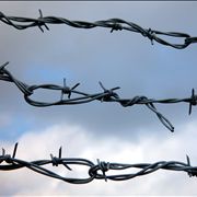 Picture Of Jail Wire