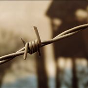 Picture Of Prison Captive Wire